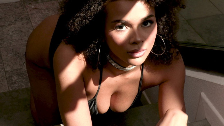 Black Beauties 3 backdrop 1