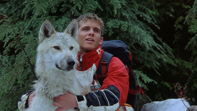 Silver Wolf backdrop 2