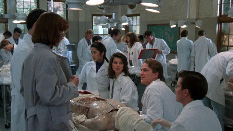 Gross Anatomy backdrop 4