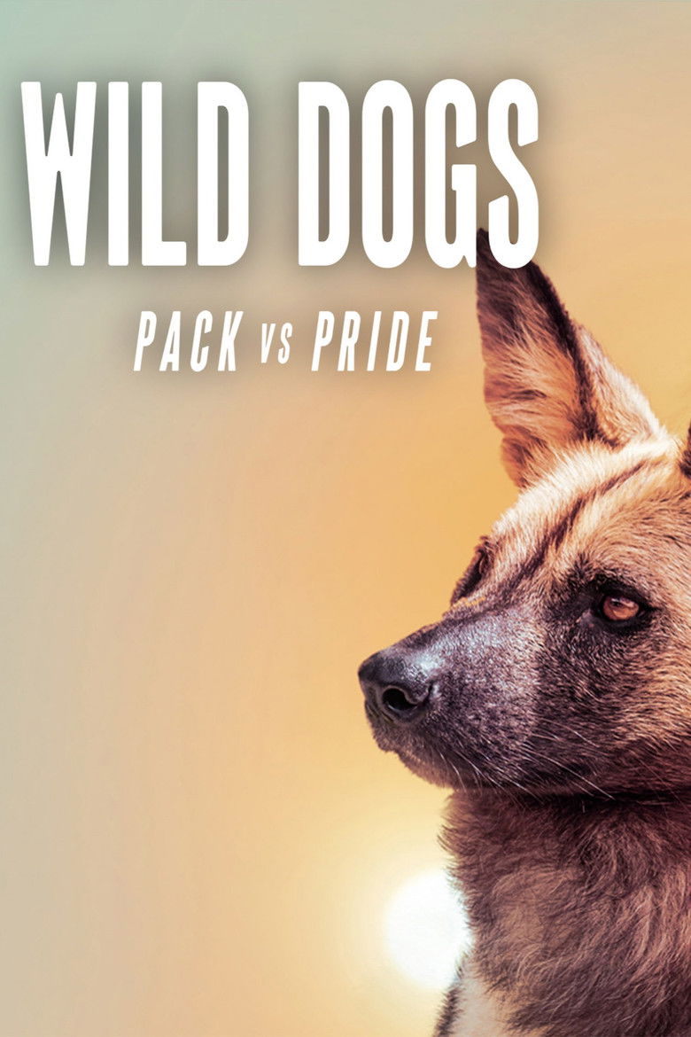 Wild Dogs: Packs Vs. Pride