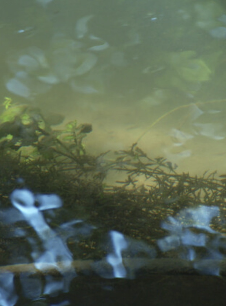 Un Film long comme une larme