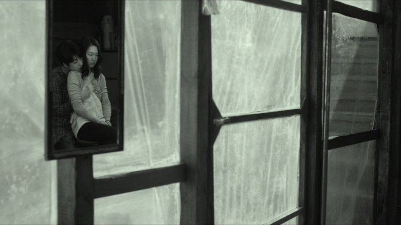 A Quiet Dream backdrop 6