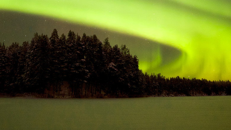Wild Lapland backdrop 4