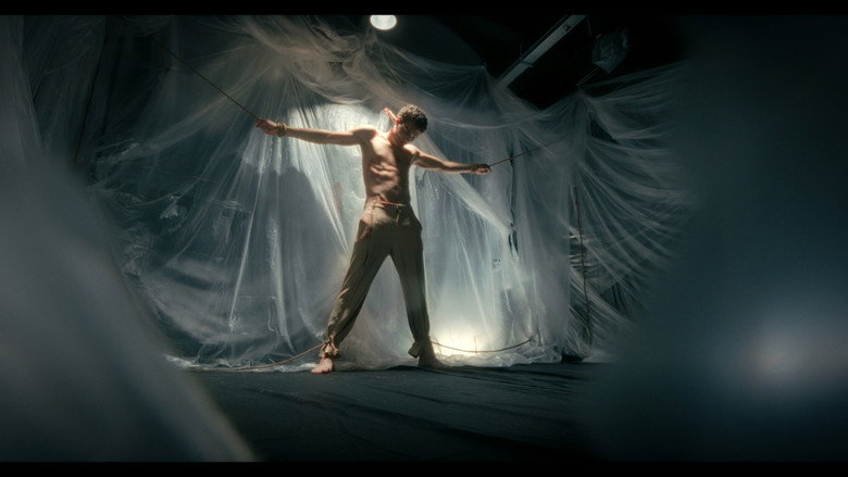 HATERNET backdrop 2