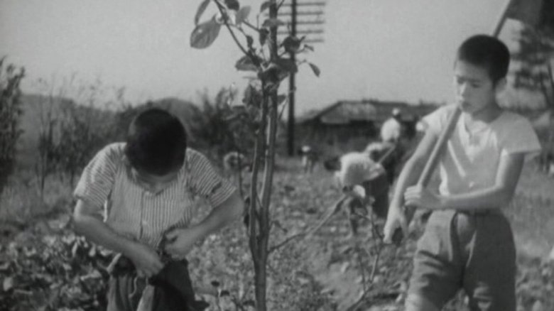Katsumi Kubota