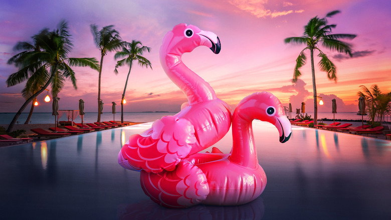 Bachelor in Paradise backdrop 3