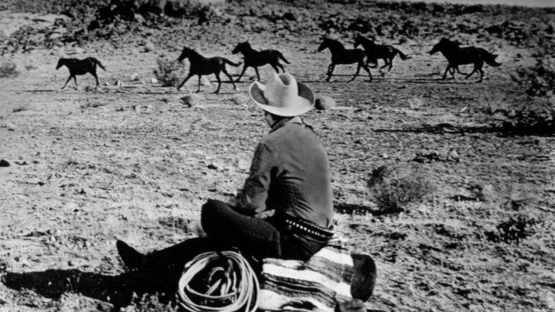 Six Black Horses backdrop 4