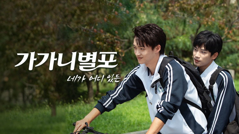 Stay With Me backdrop 8