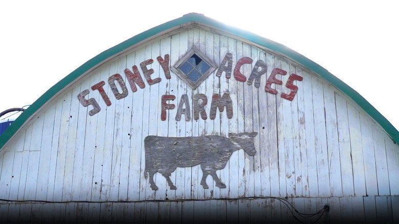 Stoney Acres Pizza Farm, Casimir Gold Maple Syrup, BroKogi