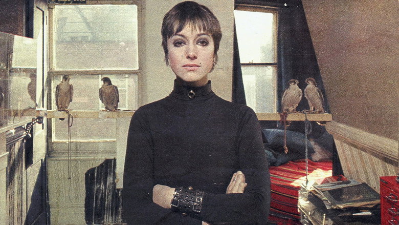 Penny Slinger: Out of the Shadows backdrop 7