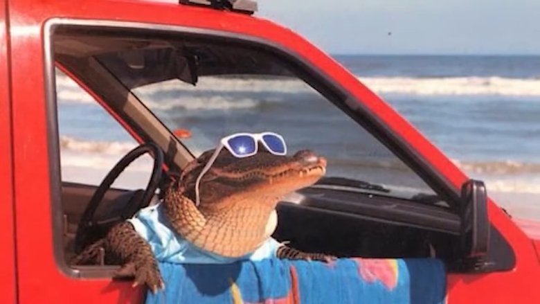 driving-boat.mp4 (deluxe)
