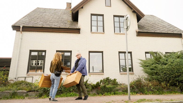 Renovation Chaos at Limhamn