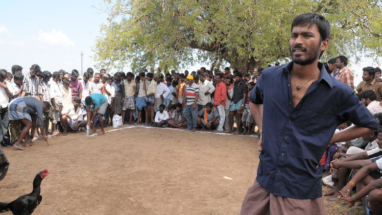 Aadukalam backdrop 4