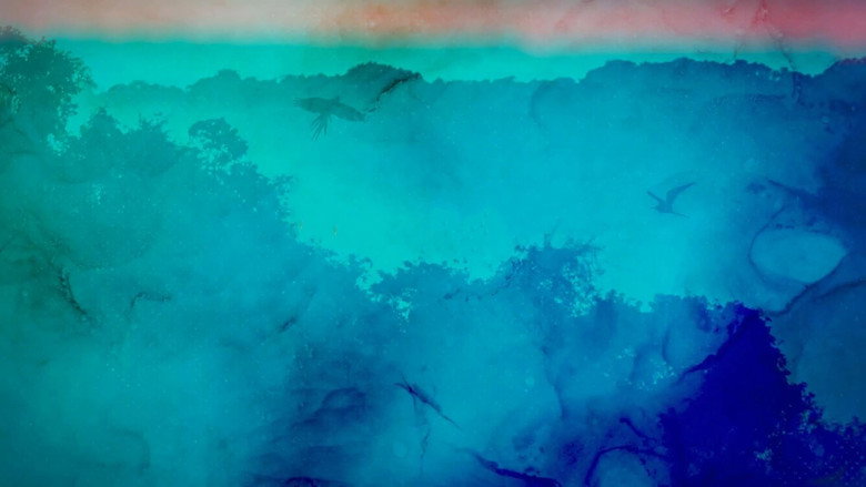 Liz Bonnin's Wild Caribbean backdrop 2