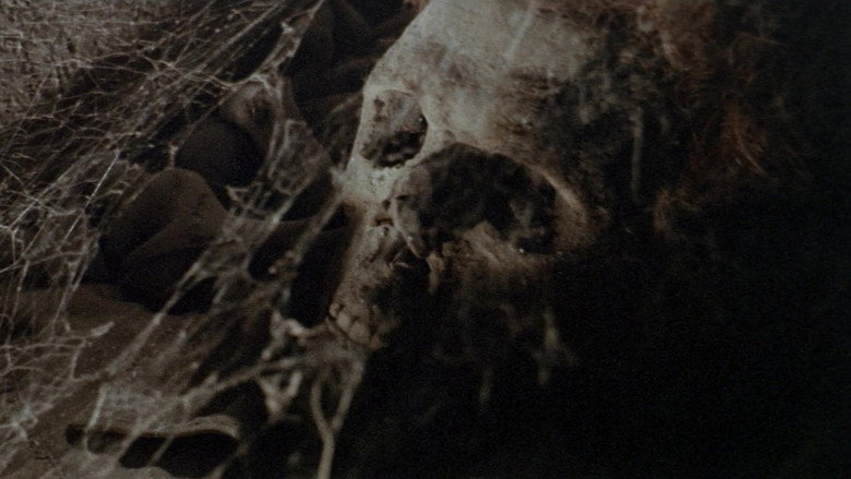 Web of the Spider backdrop 8