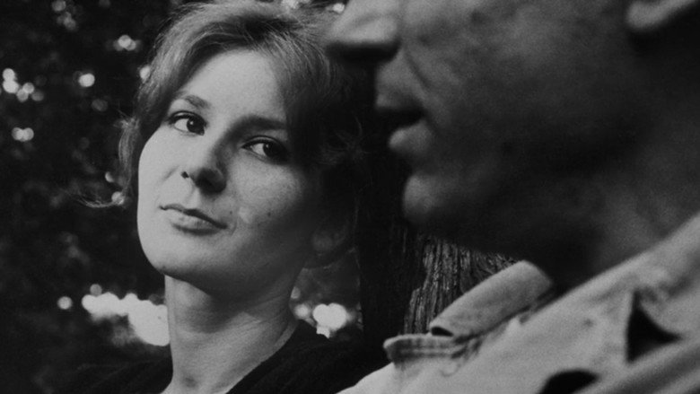 La Jetée backdrop 6