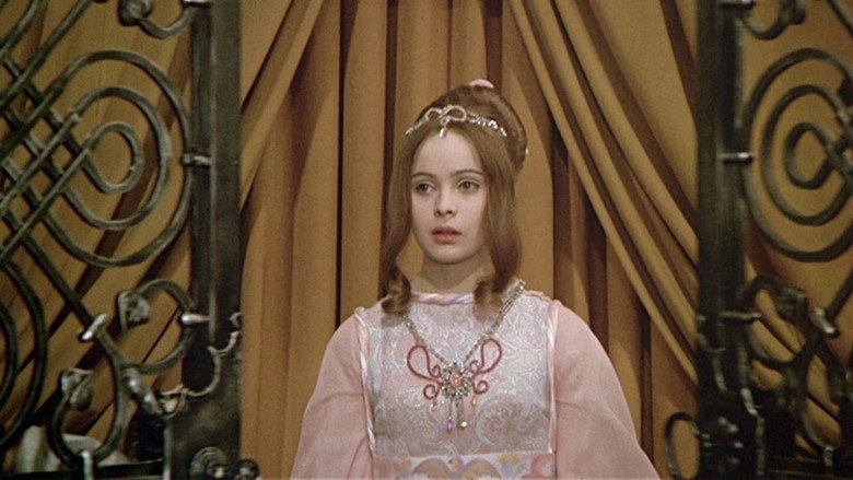 Three Wishes for Cinderella backdrop 6