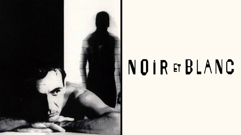 Noir et blanc backdrop 2