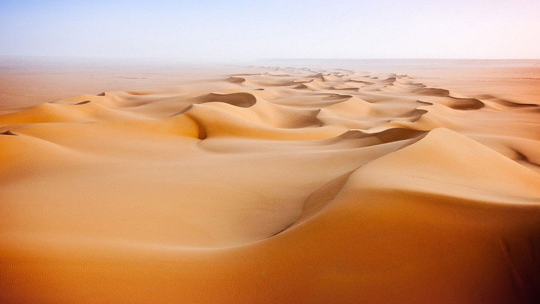 Wild Arabia backdrop 3