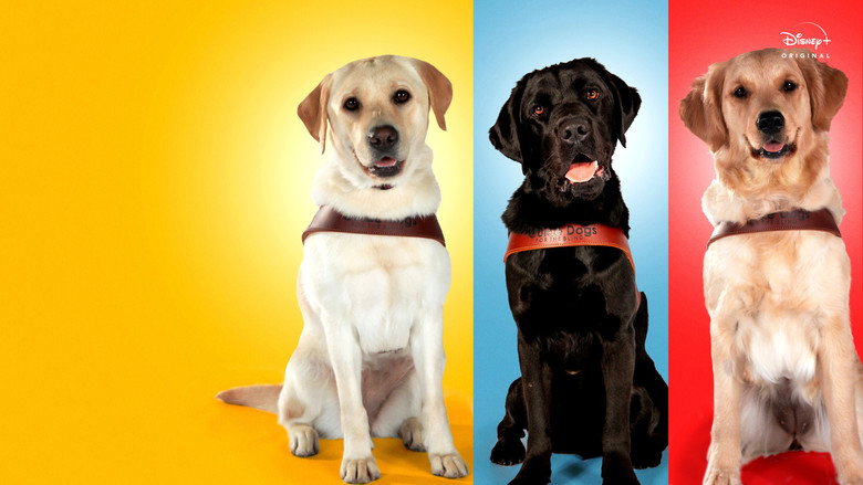 Pick of the Litter backdrop 5