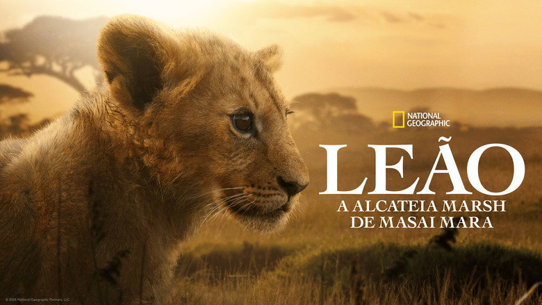 LION backdrop 5