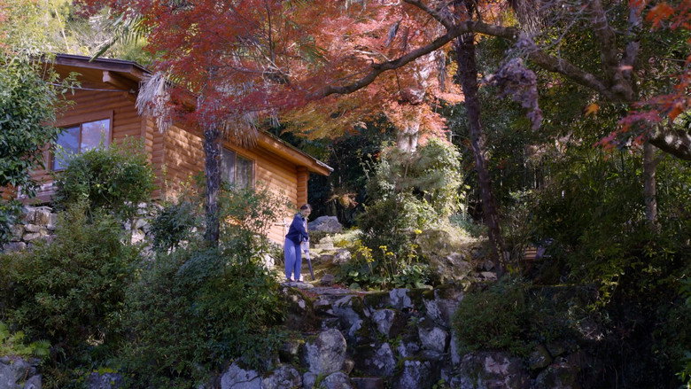 Masayume backdrop 4