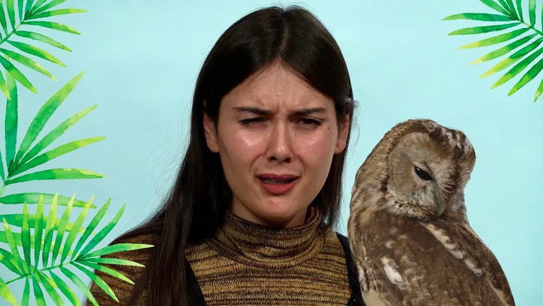 Patti Reviews Exotic Animals: Snowy Owl