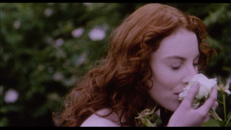 Belle de Nature backdrop 8