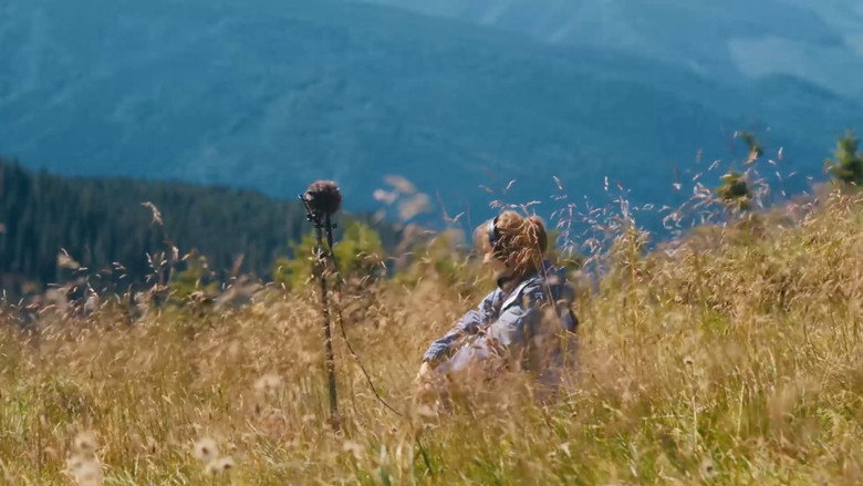No Shade In The Forest backdrop 3