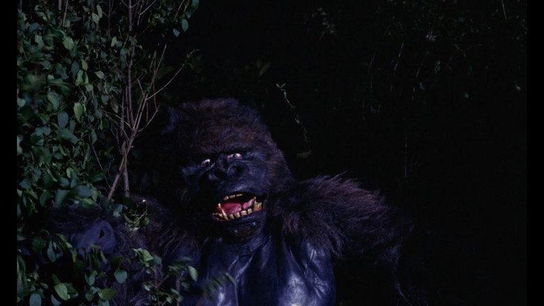 Konga backdrop 4