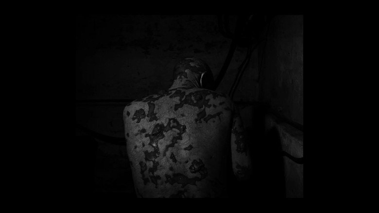 PRECURSOR backdrop 1