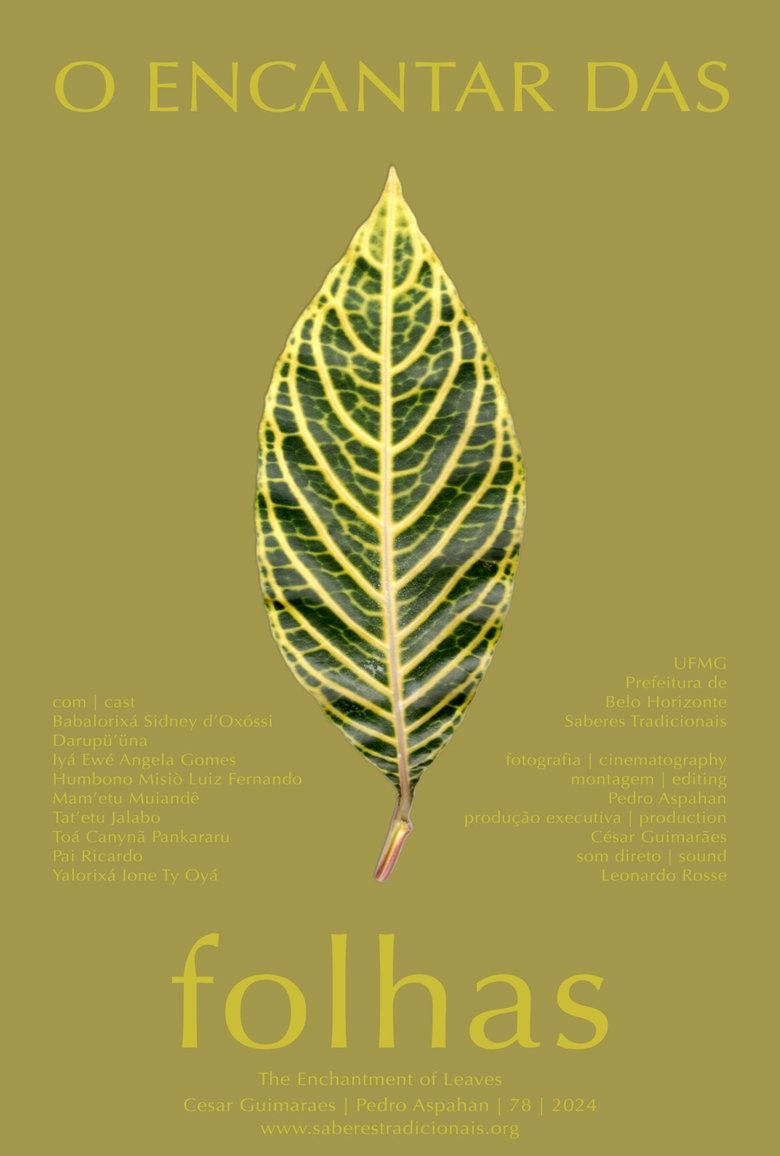 O Encantar das Folhas