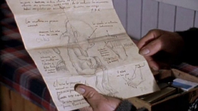 Los dibujos de Bruno Kulczewski