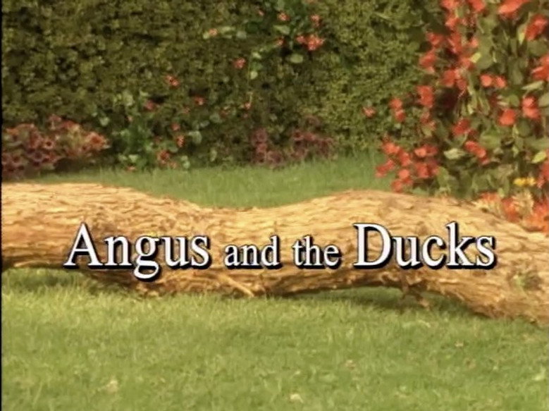 Angus and the Ducks