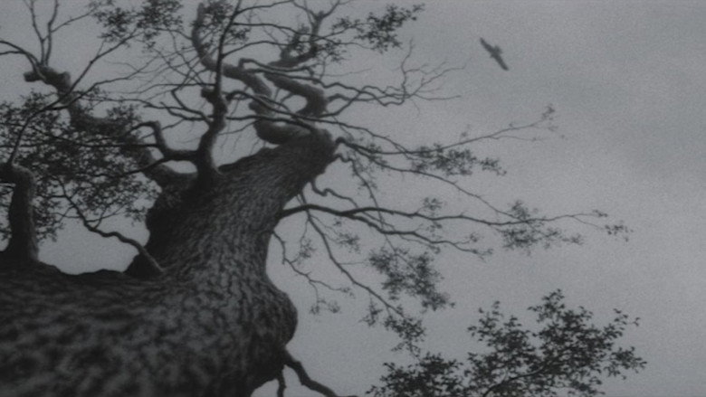 The Temple of Wild Geese backdrop 5