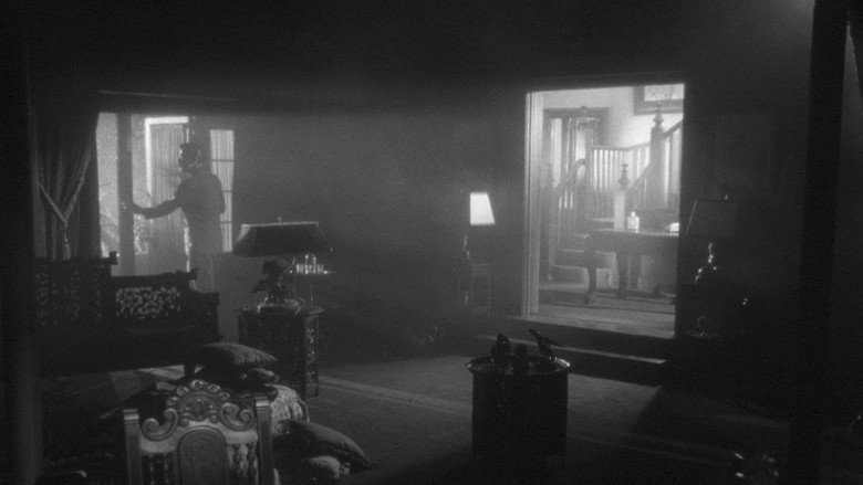 The Amazing Mr. X backdrop 9