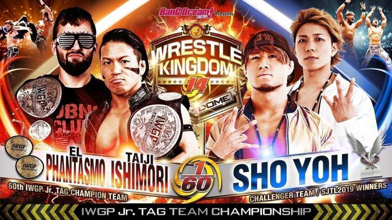 NJPW Wrestle Kingdom 14: Night 2 backdrop 9