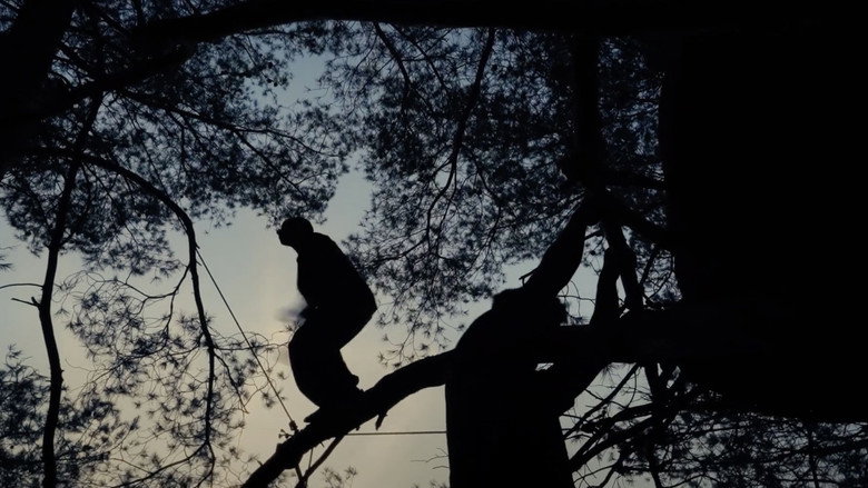 Traceurs des arbres backdrop 1