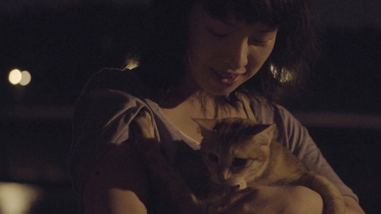 Stray Cat backdrop 5