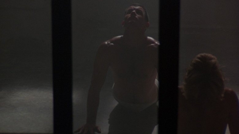Midnight Express