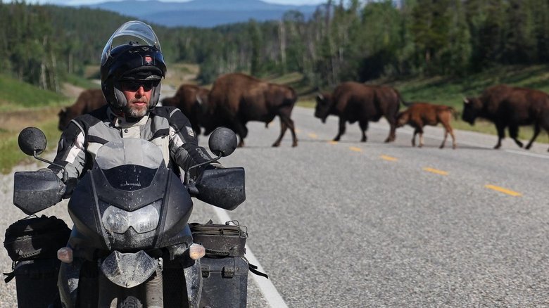 Abenteuer Nordamerika – von Alaska durch Kanada nach New York