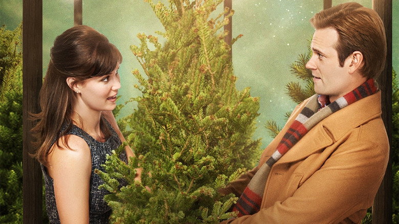 Fir Crazy backdrop 2