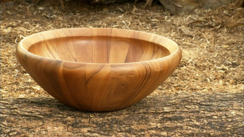 Aluminum Canoes, Wooden Stave Bowls, Wheelchair Accessible Vans, Marimbas