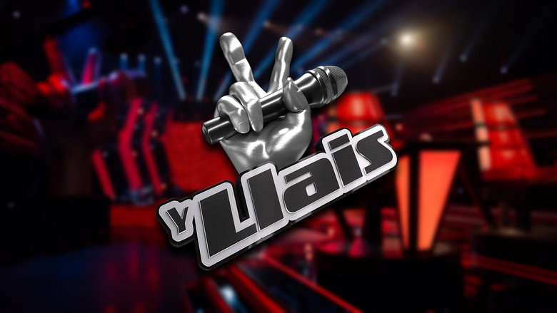 The Voice backdrop 2