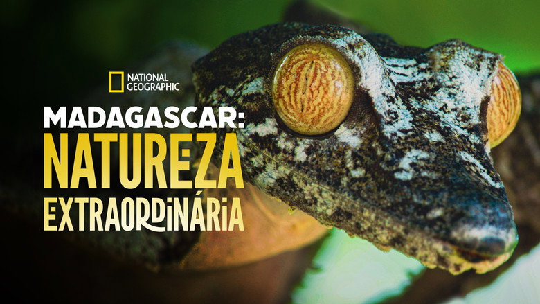 Madagascar's Weirdest backdrop 7