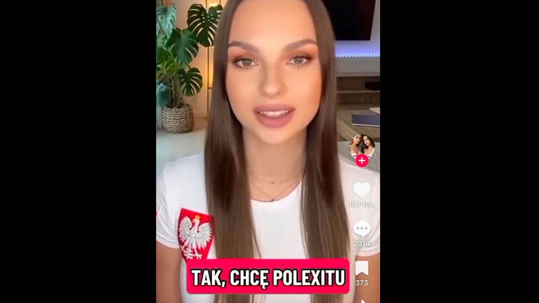 Poland: AI in the service of Eurosceptics