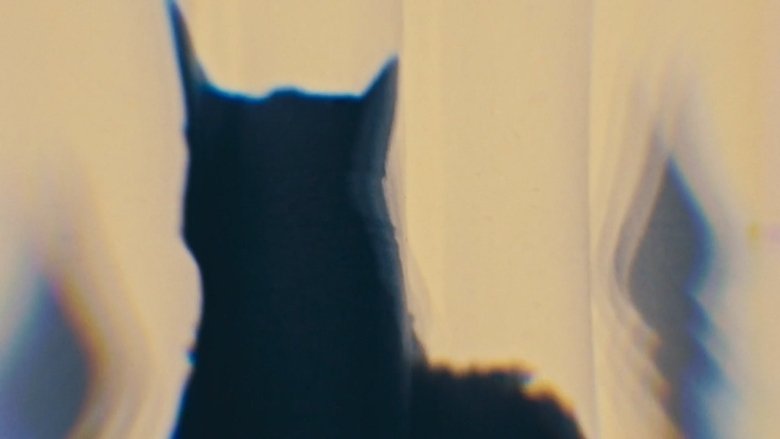 O Gato da Varanda