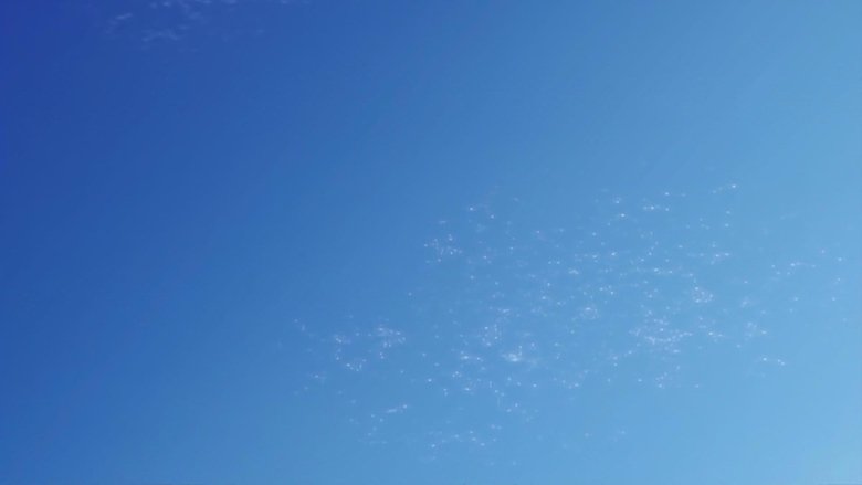 Mossa a sorpresa di Darius