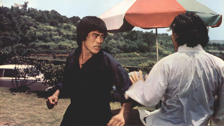 The Black Dragon vs. the Yellow Tiger backdrop 4