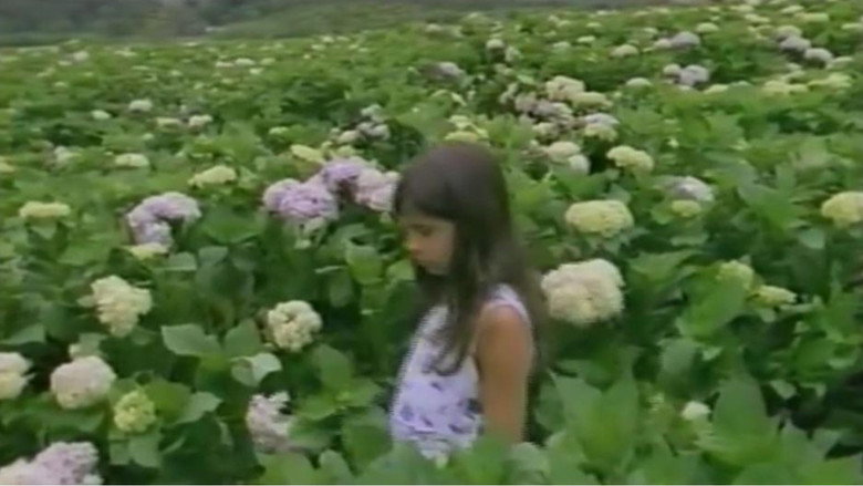 Flowers for the Dead backdrop 3
